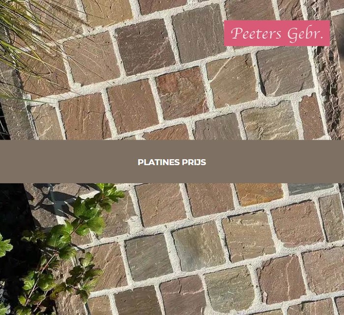 platines prijs
